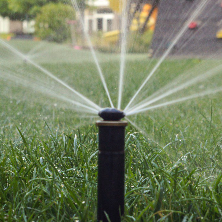 Outdoor Services in Bakersfield, CA